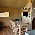 Safari B Petten