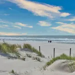 Safari B * Petten